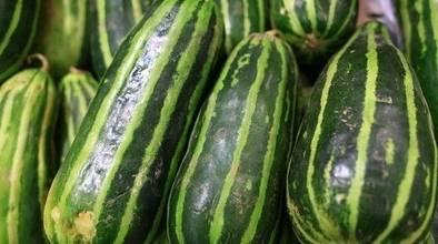 临沂网红吃梢瓜现场,临沂网红现场挑战梢瓜大胃王  第3张