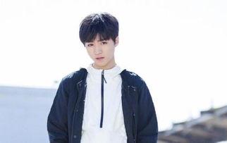 圈内人爆料凯源,揭秘凯源组合背后的神秘故事  第2张